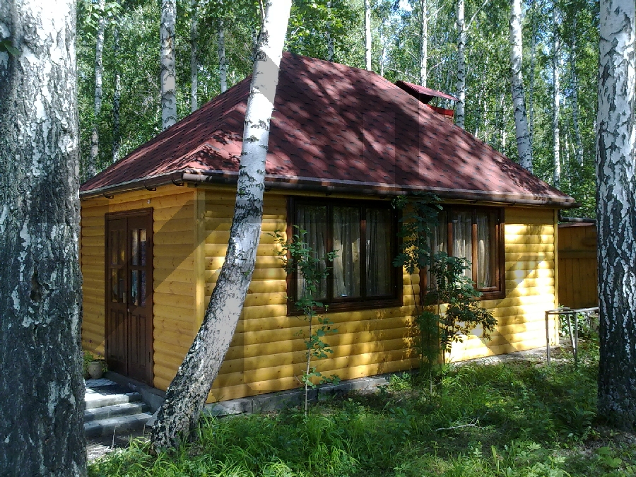 Просмотр картинки